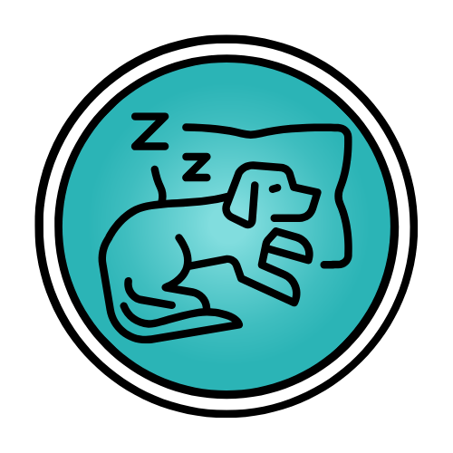 Lodging (Boarding)