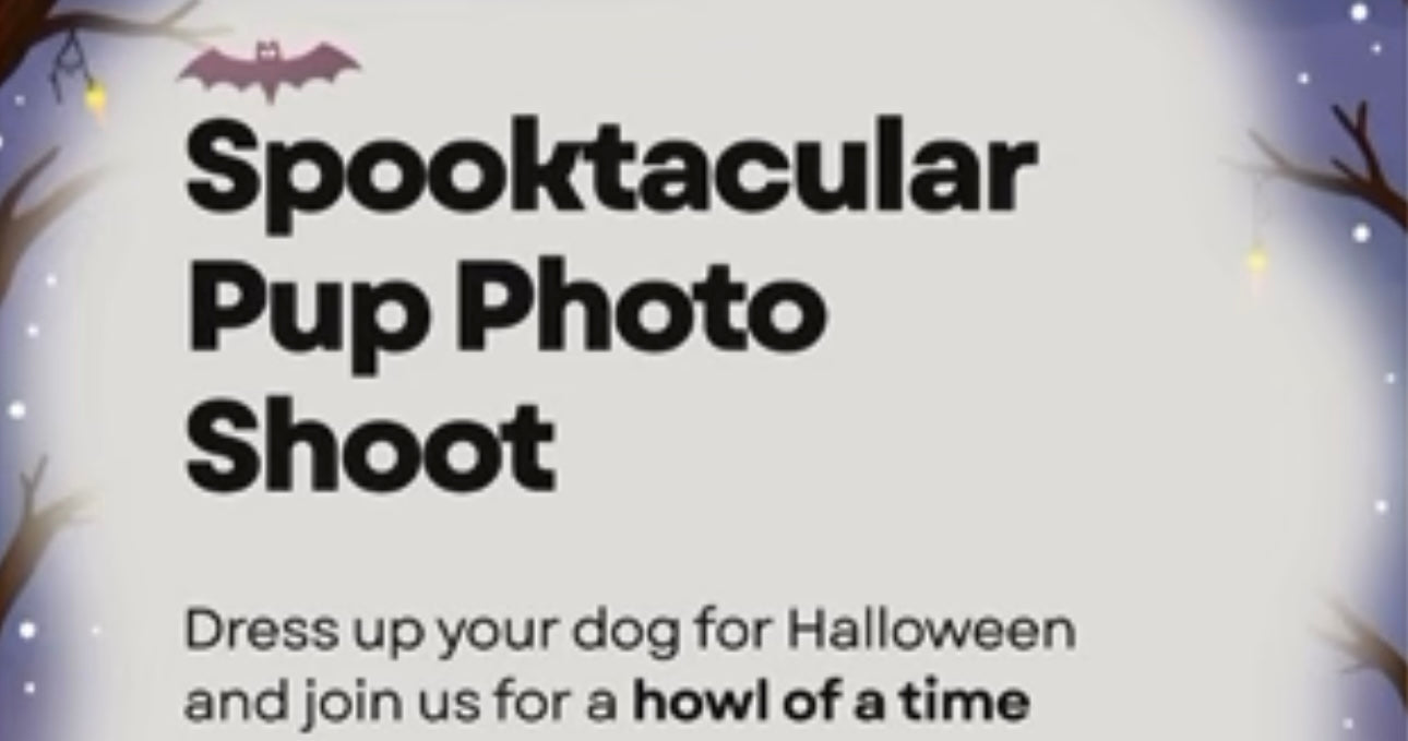 Spooktacular Pup Photo Shoot